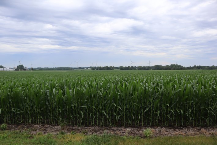 Image for Irene Larson Estate Farm
