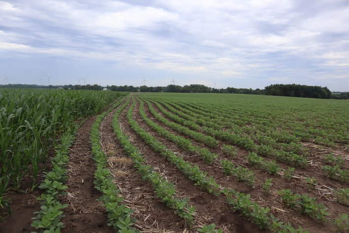 Image for Irene Larson Estate Farm