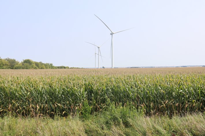 Image for Cindy Lou Porter Farm Auction