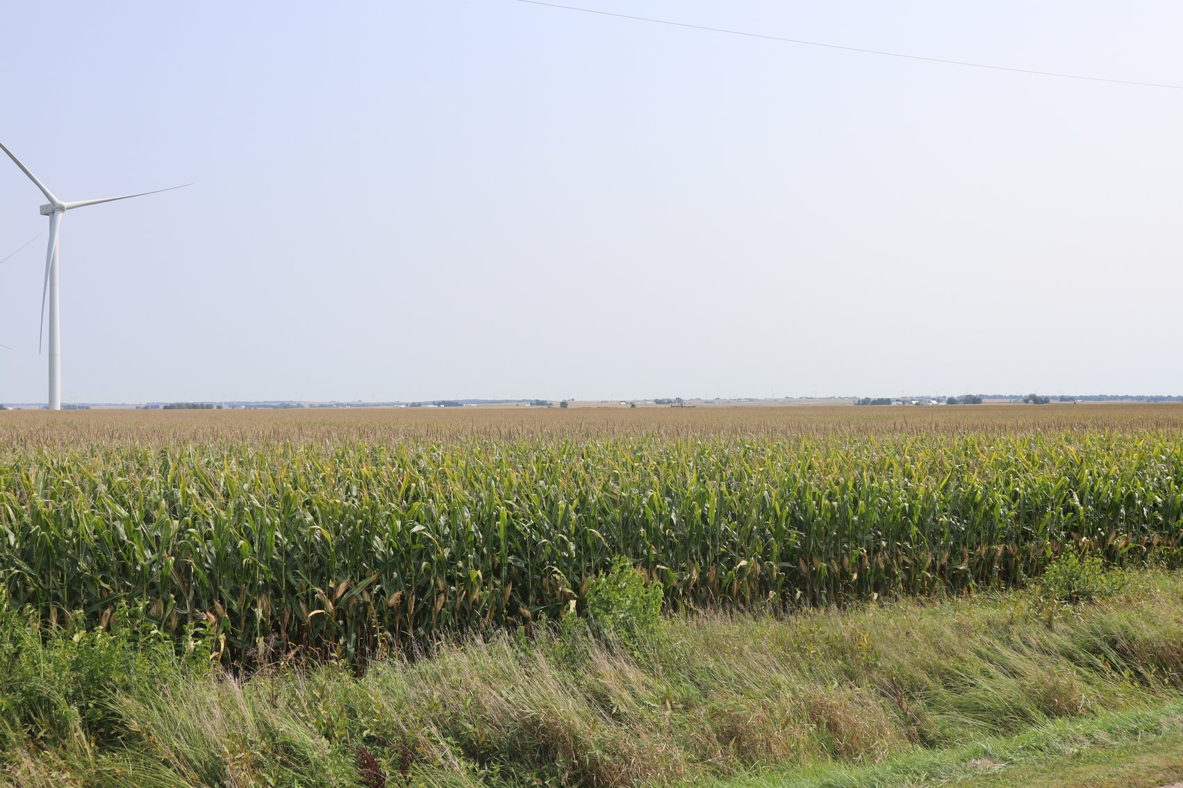 Image for Cindy Lou Porter Farm Auction