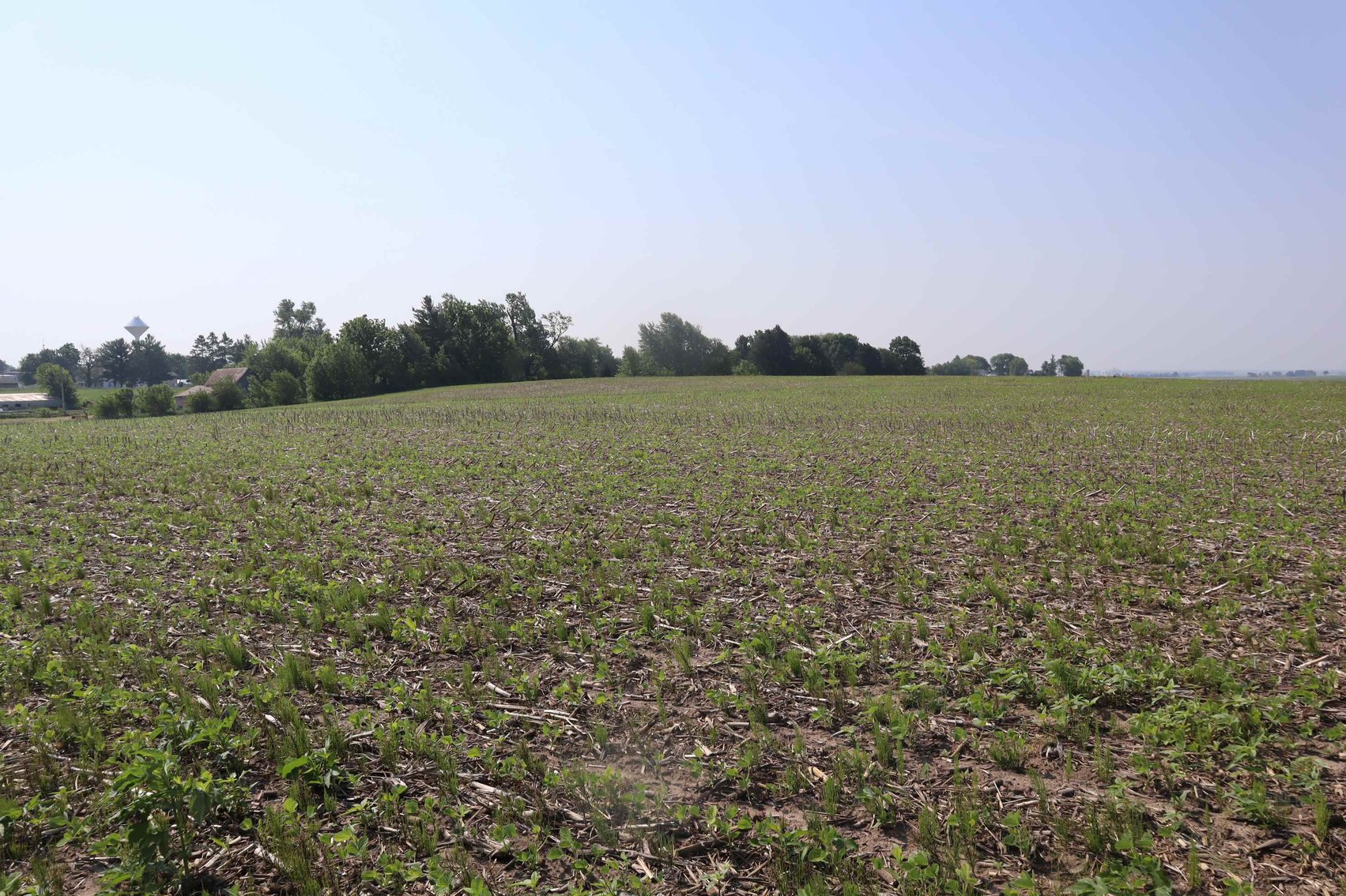 Image for Barbara DeBruhl Farm Auction