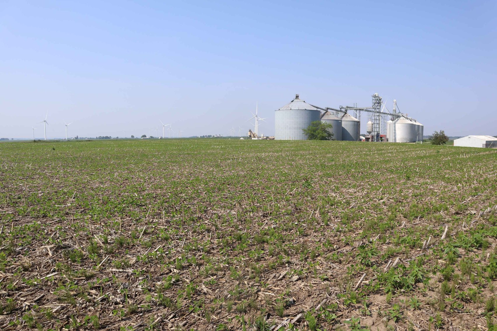 Image for Barbara DeBruhl Farm Auction