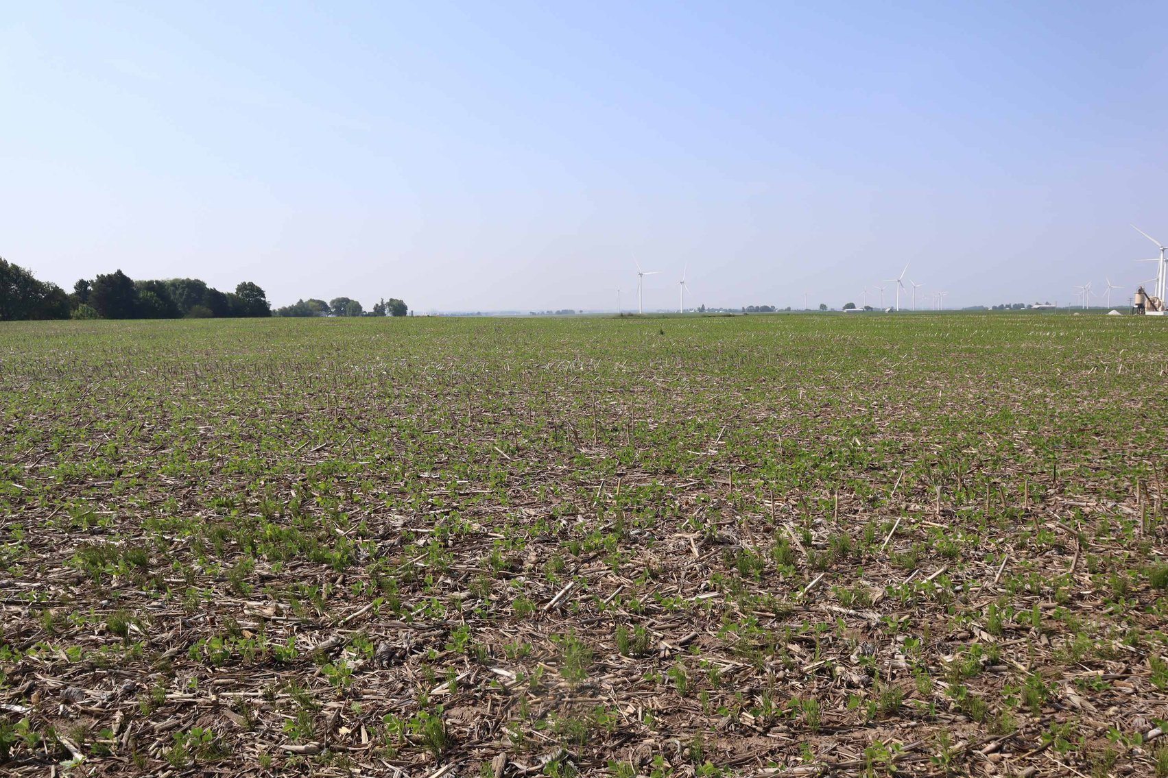 Image for Barbara DeBruhl Farm Auction