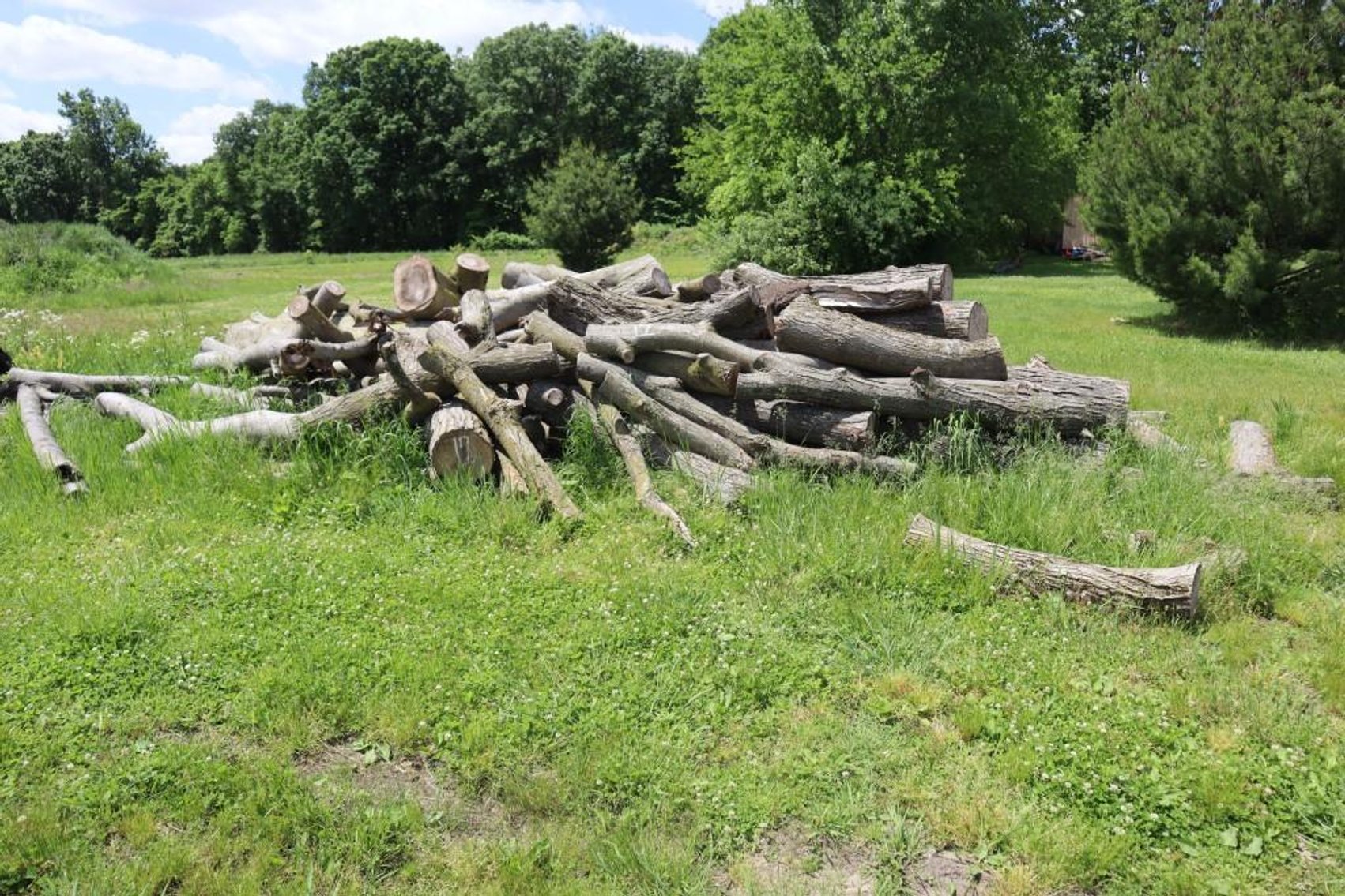 Image for The J&M Tree Service - David Oley Estate - Online Only Liquidation Auction