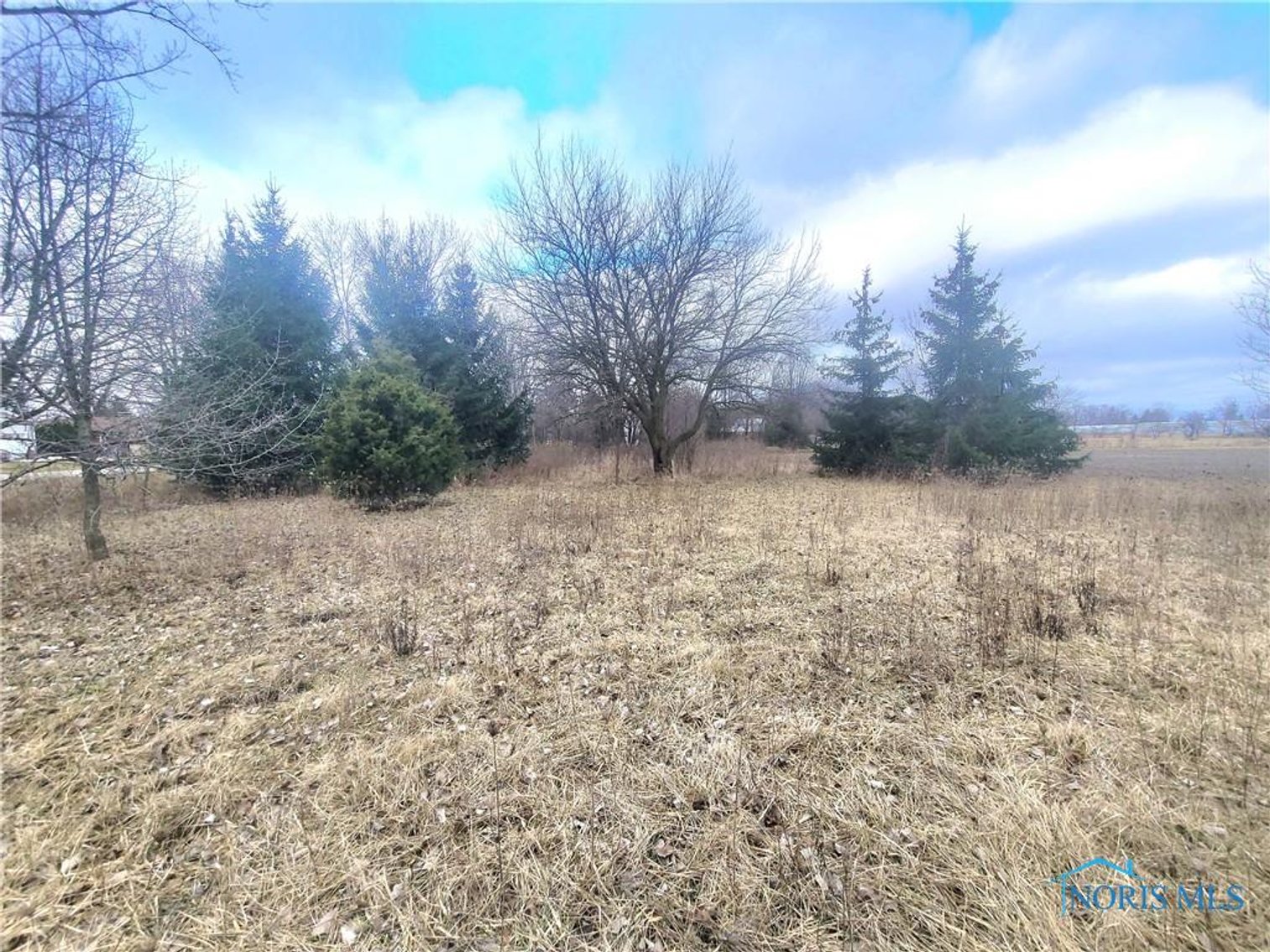 Image for MINIMUM BID AUCTION $99,000! 3425 PLUMEY RD