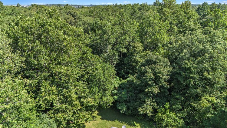 Image for MINIMUM BID AUCTION $50,000! 0 PEMBERVILLE RD