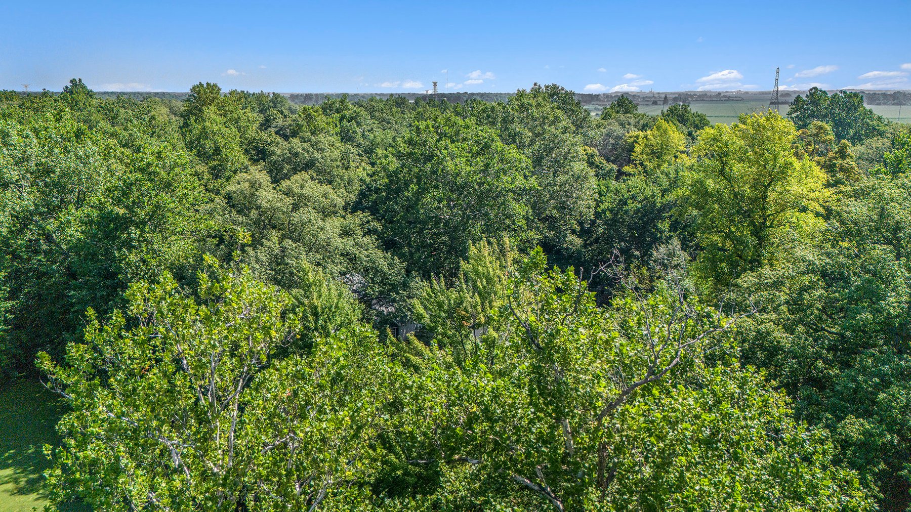 Image for MINIMUM BID AUCTION $199,000! 21306 Pemberville Rd