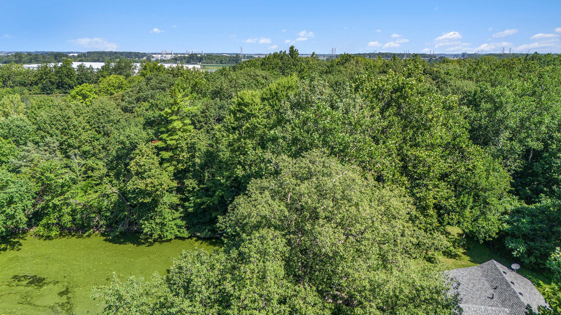 Image for MINIMUM BID AUCTION $199,000! 21306 Pemberville Rd