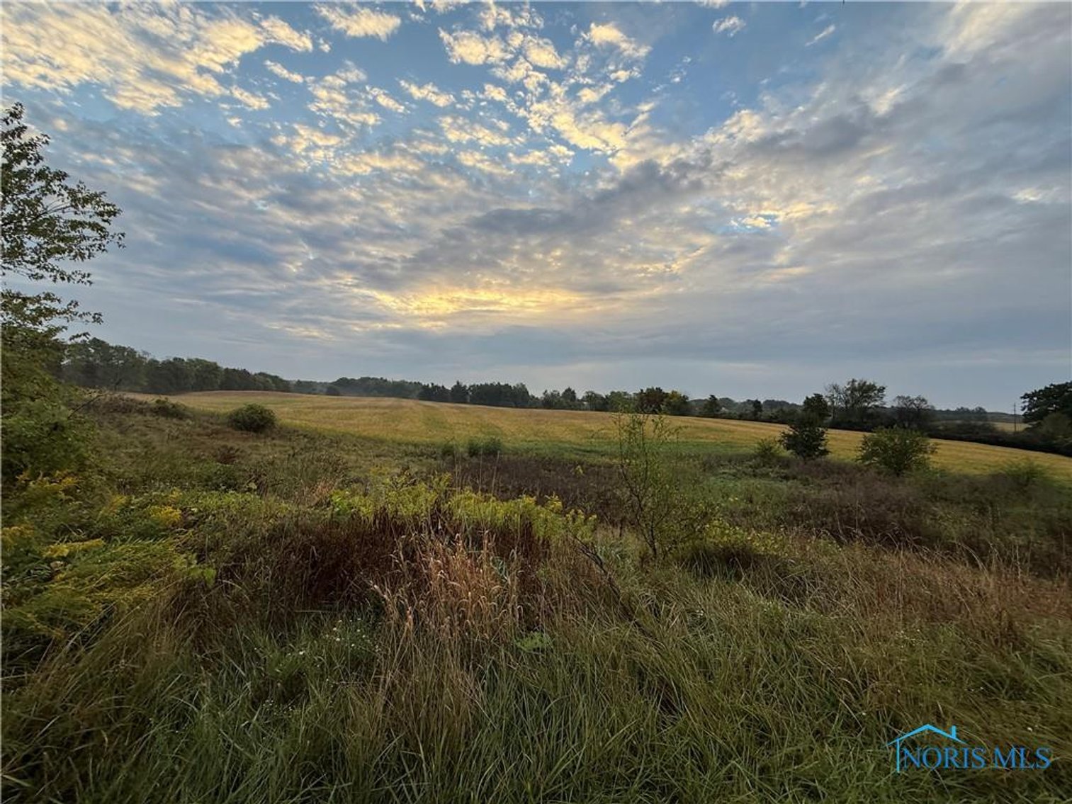 Image for MINIMUM BID AUCTION $150,000! 16702 State Route 49