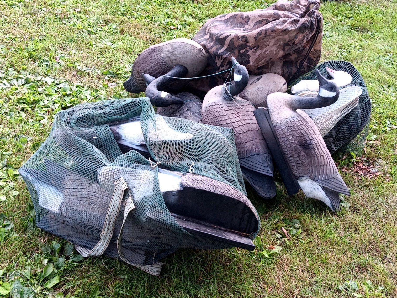 Image for Mike Hogan Estate