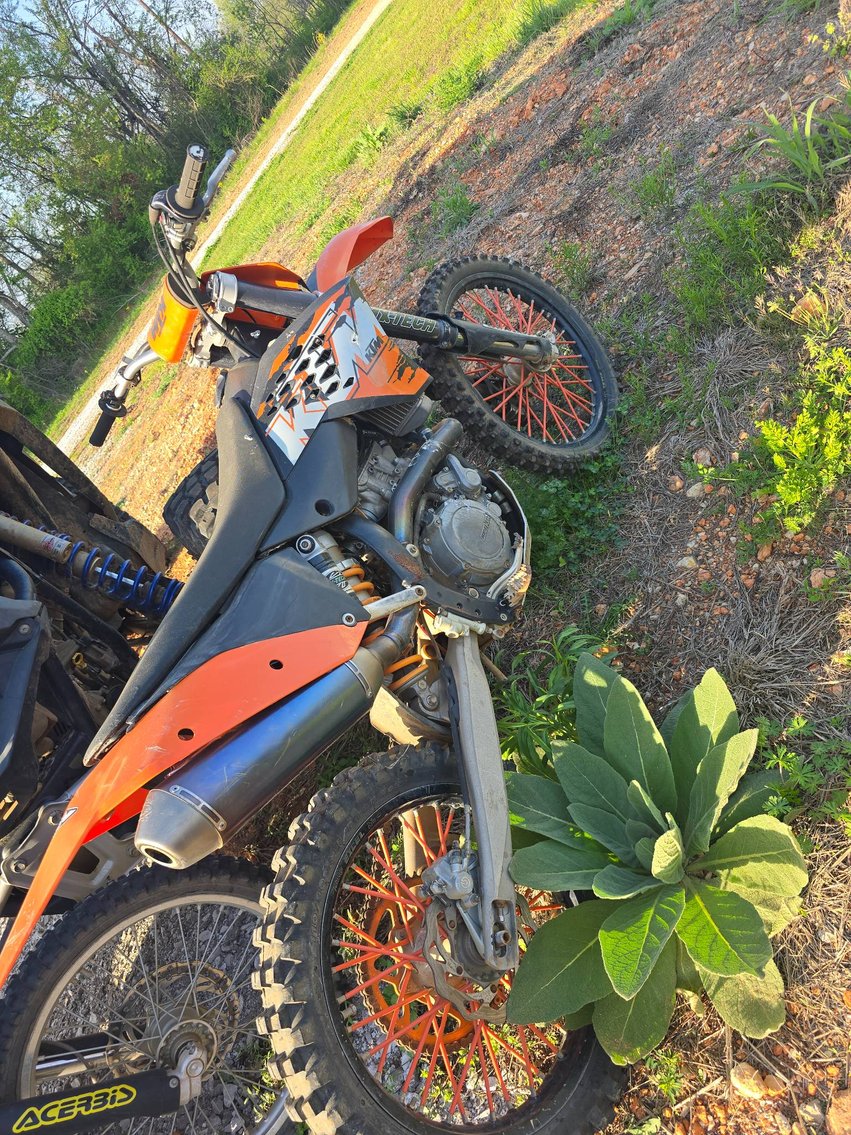 Image for Kyle & Rasha Sands