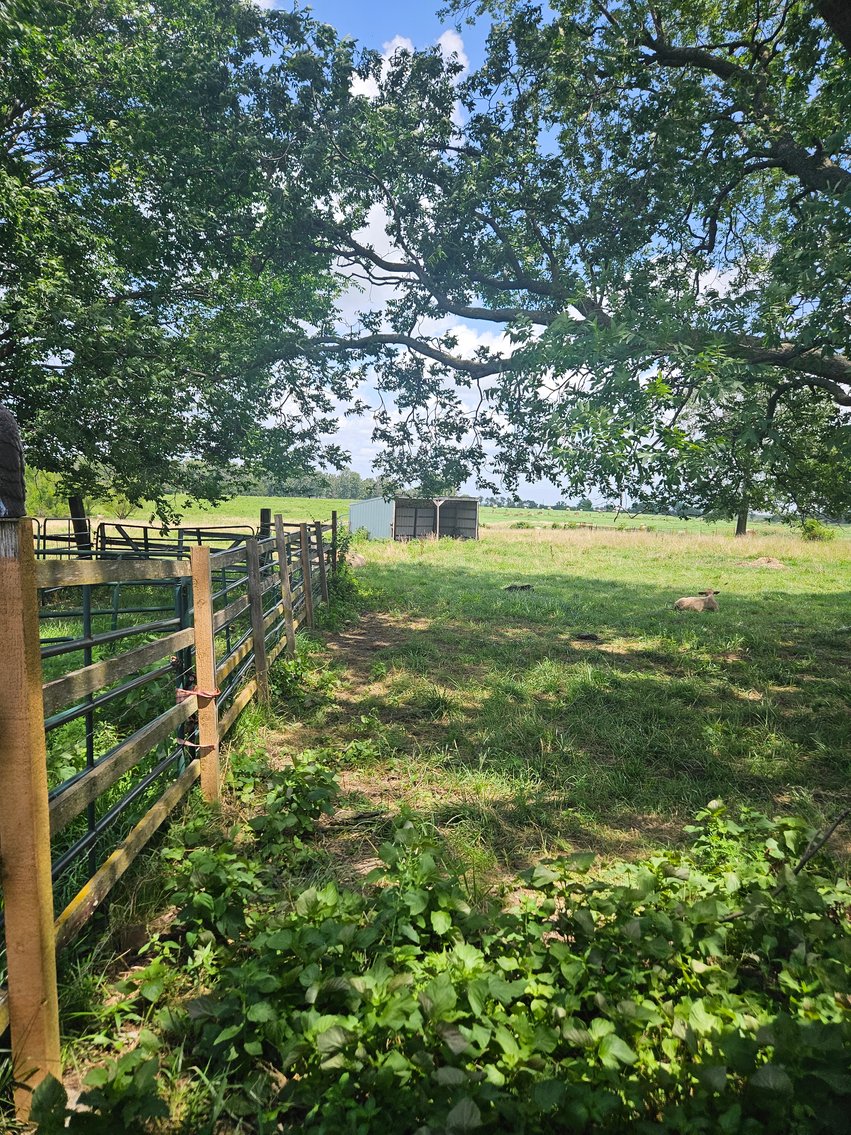 Image for Live Auction – Real Estate & Personal Property  Estate of Delbert Payne & Living Estate of Jo Jackson