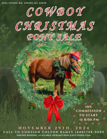 Image for 606 Christmas Pony Sale