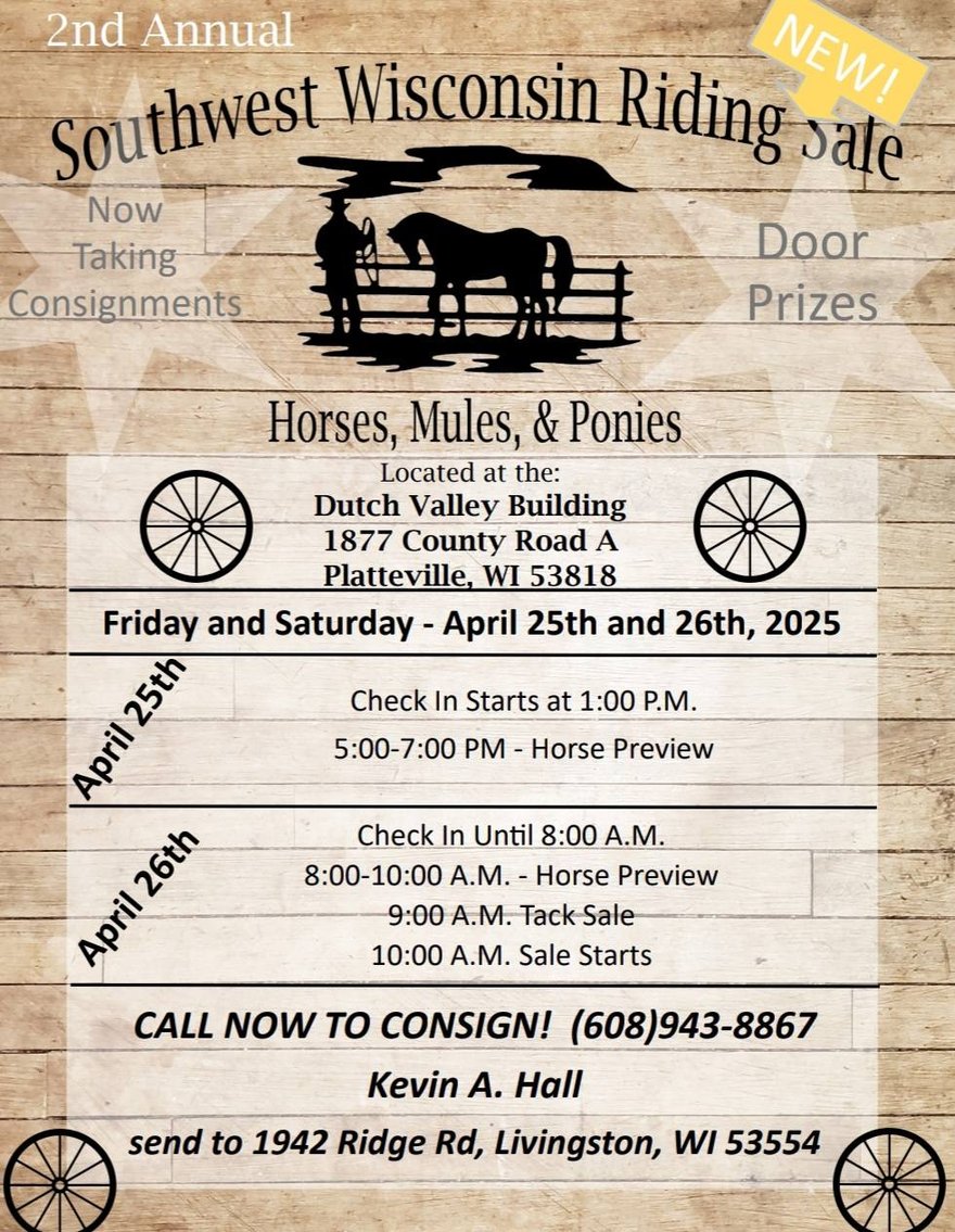 Image for Southwest Wisconsin Riding Horse Sale