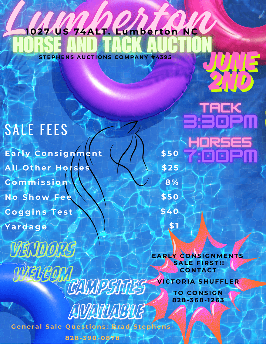 Image for Lumberton Horse and Tack Auction June 2025