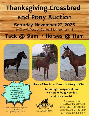 Image for Thanksgiving Crossbred and Pony Auction