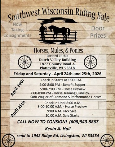 Image for Southwest Wisconsin Riding Horse Sale