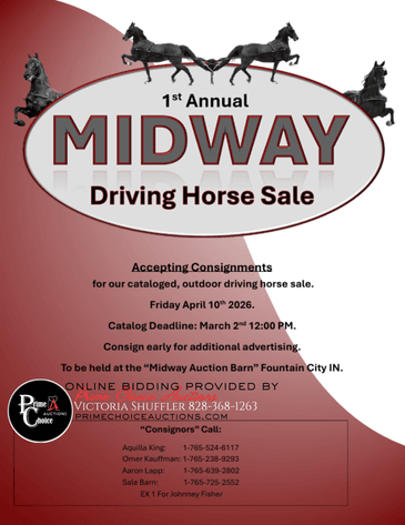 Image for Midway Driving Horse Sale