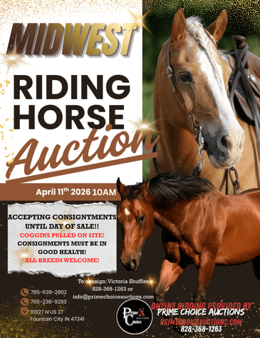 Image for Midwest Riding Horse Sale