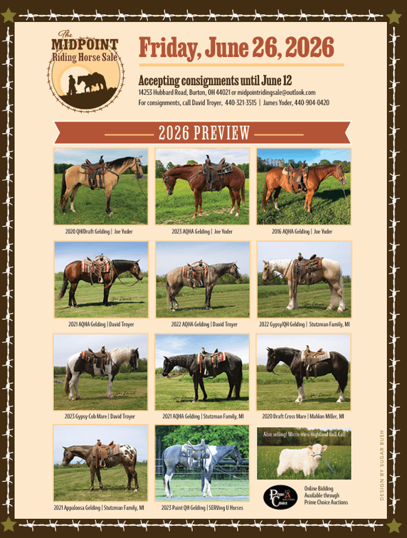 Image for Midpoint Riding Horse Sale