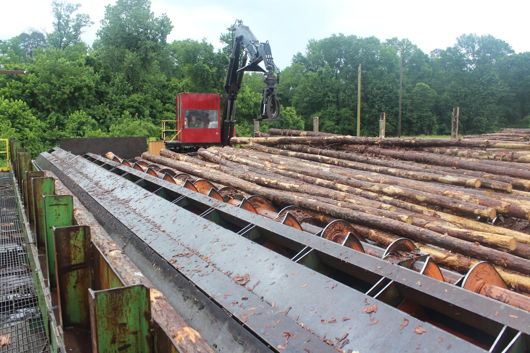 Image for FORMERLY CAMDEN TIMBERS, LLC