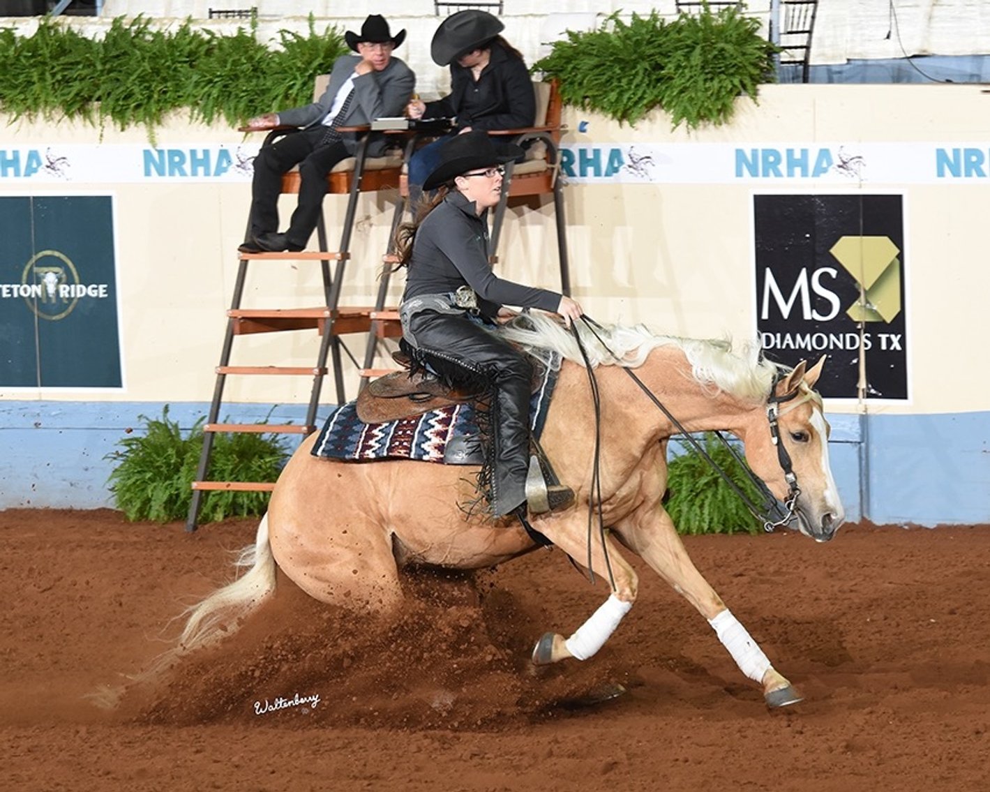 Image for 2025 April INTERNET Auction