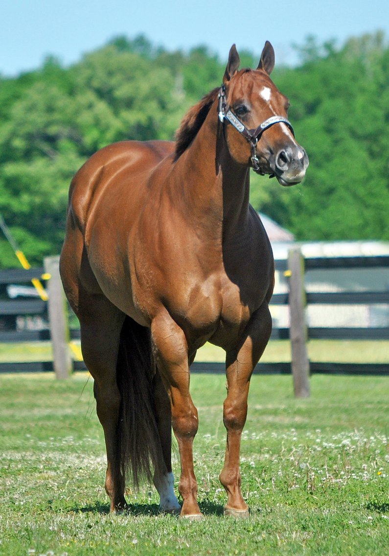 Image for 2025 April INTERNET Auction