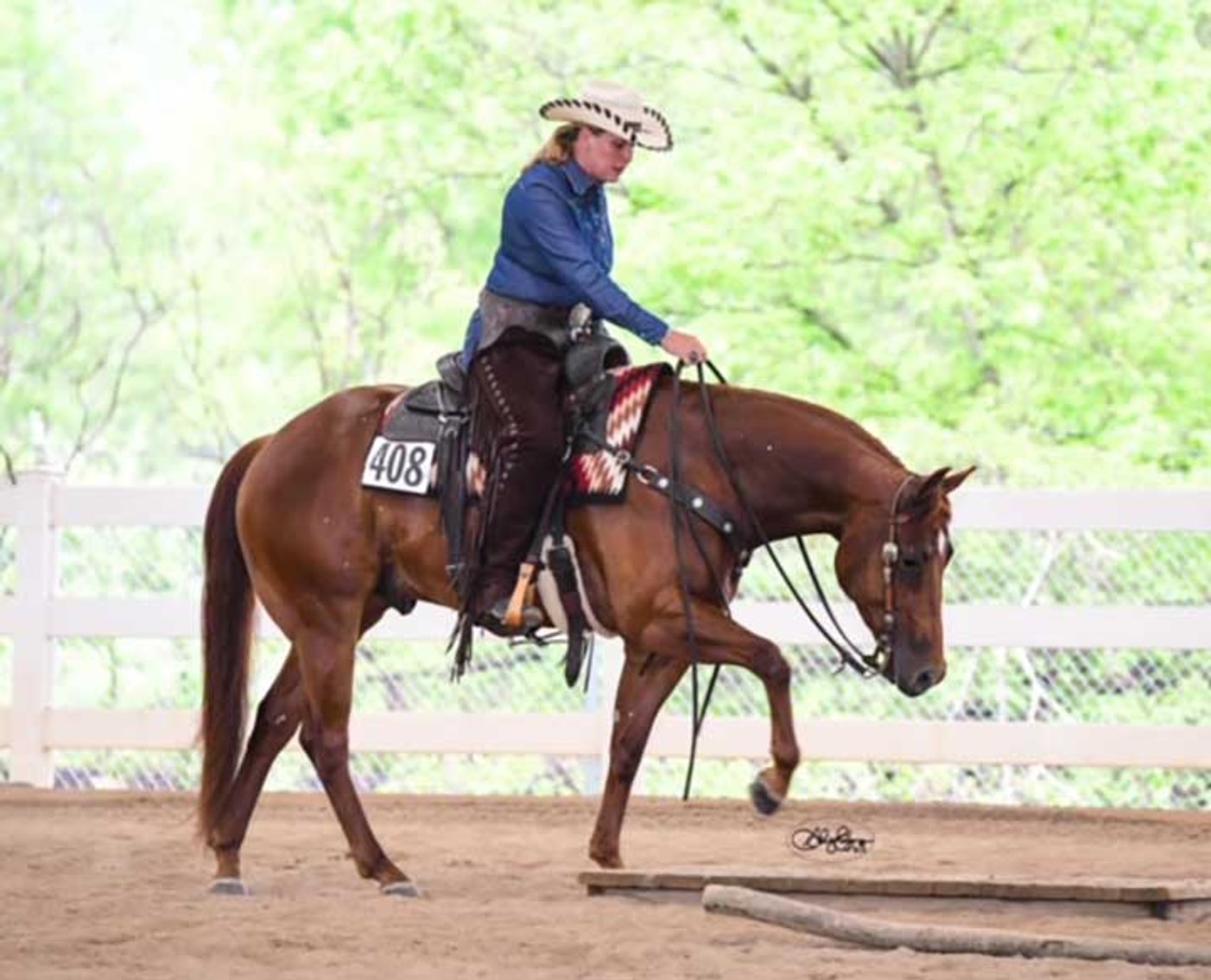 Image for 2025 April INTERNET Auction