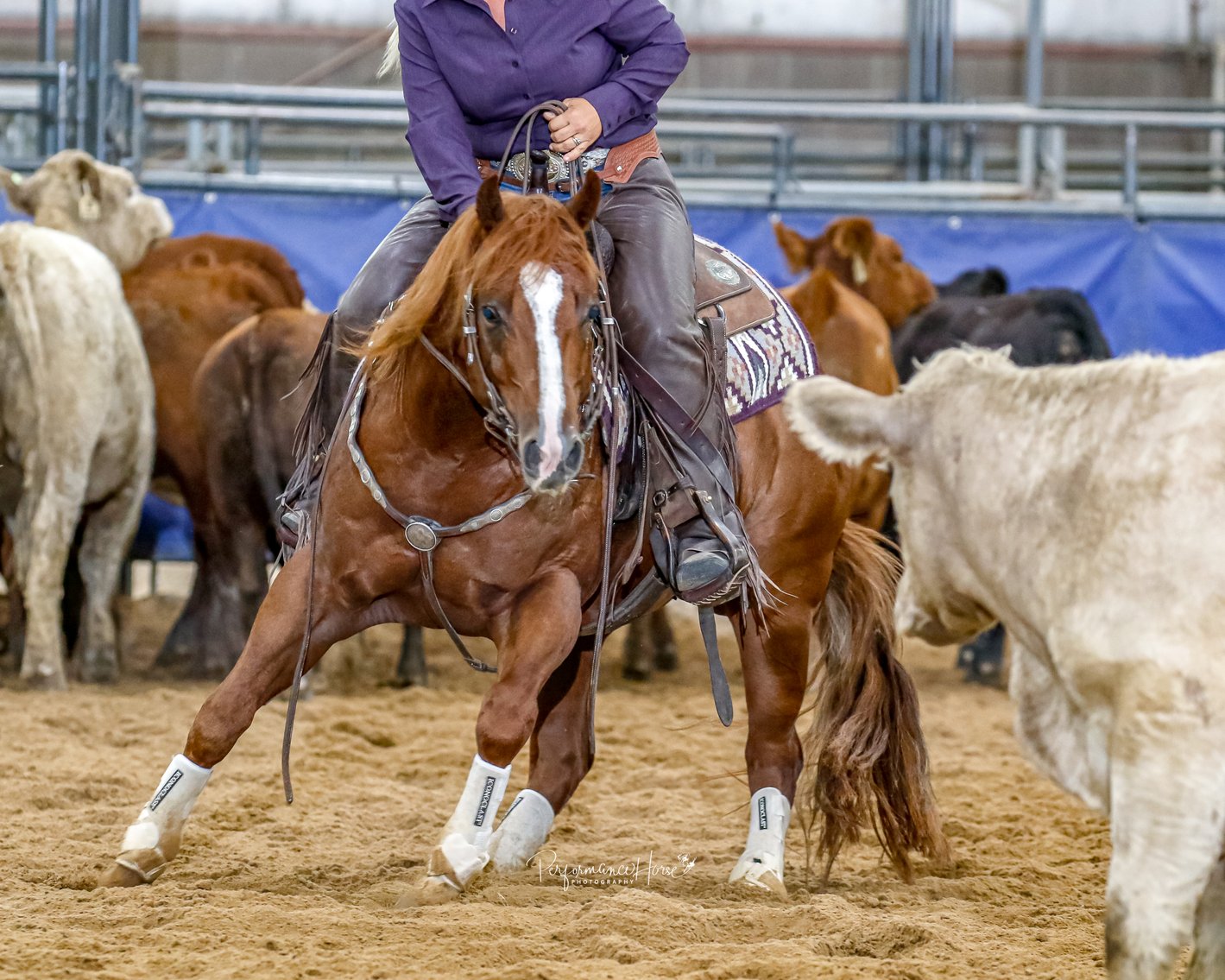 Image for 2025 April INTERNET Auction