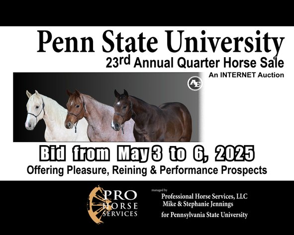 Image for Penn State University 23rd Annual QH Sale