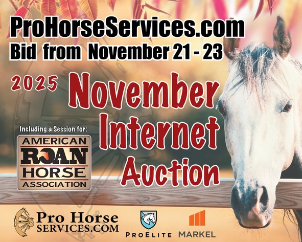 Image for 2025 November INTERNET Auction