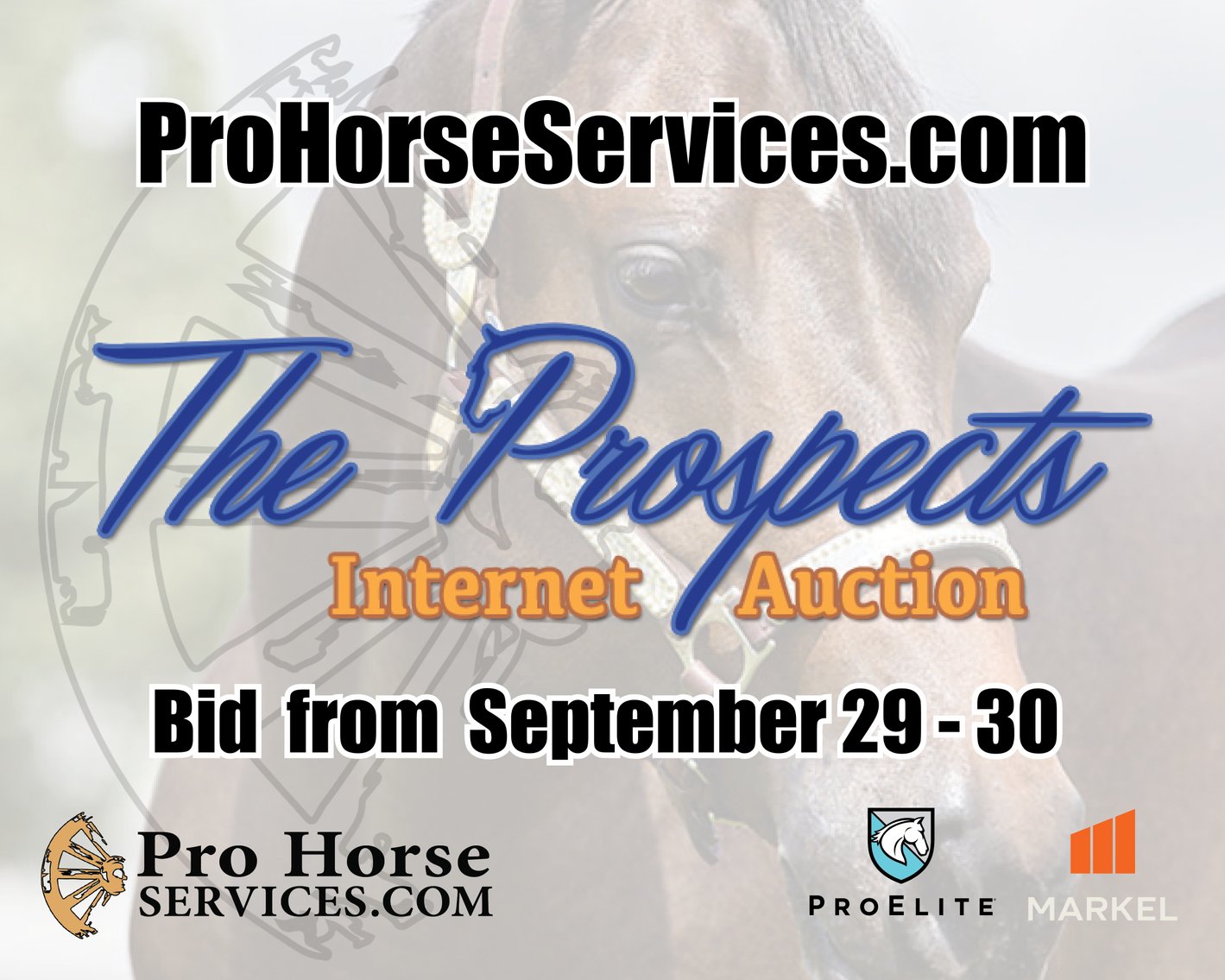 Image for 2025 The Prospect Sale