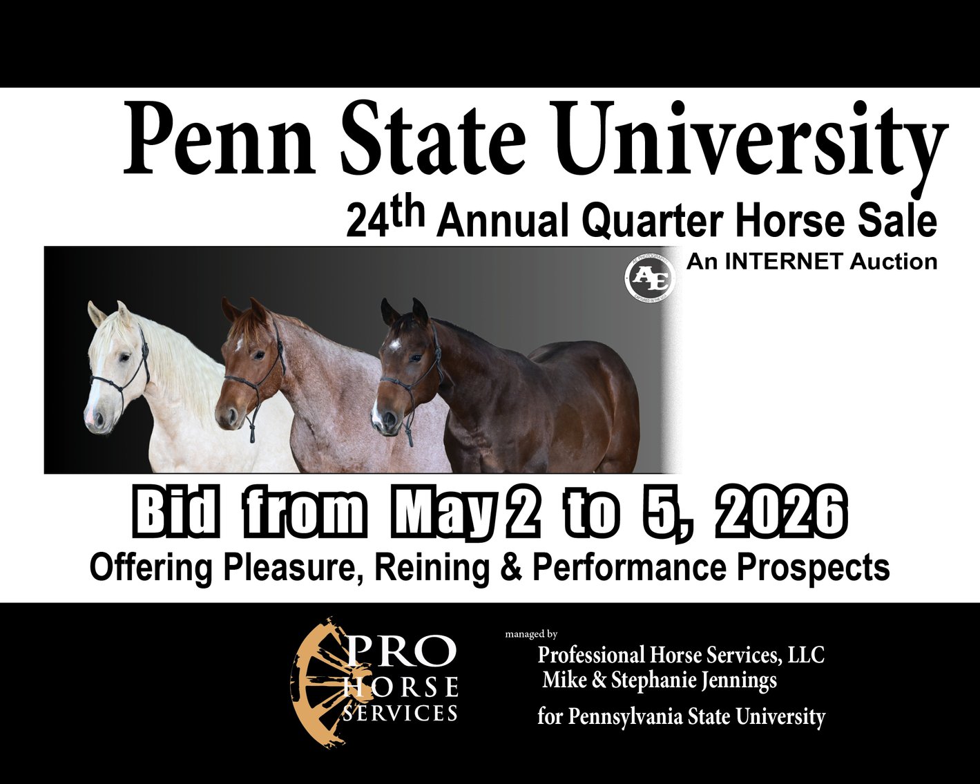 Image for Penn State University 24th Annual QH Sale