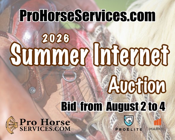 Image for 2026 Summer Internet Auction