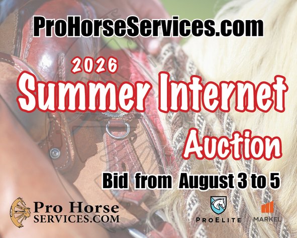 Image for 2026 Summer Internet Auction
