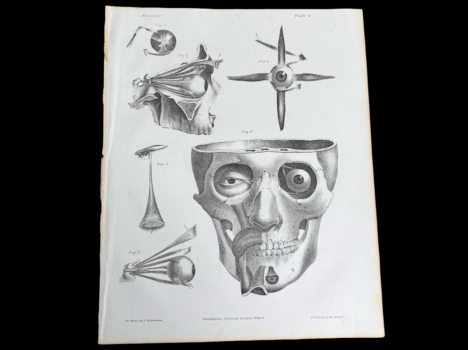 Image for Unique Ephemera & Photos