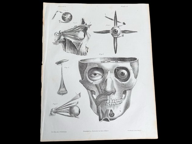 Image for Unique Ephemera & Photos