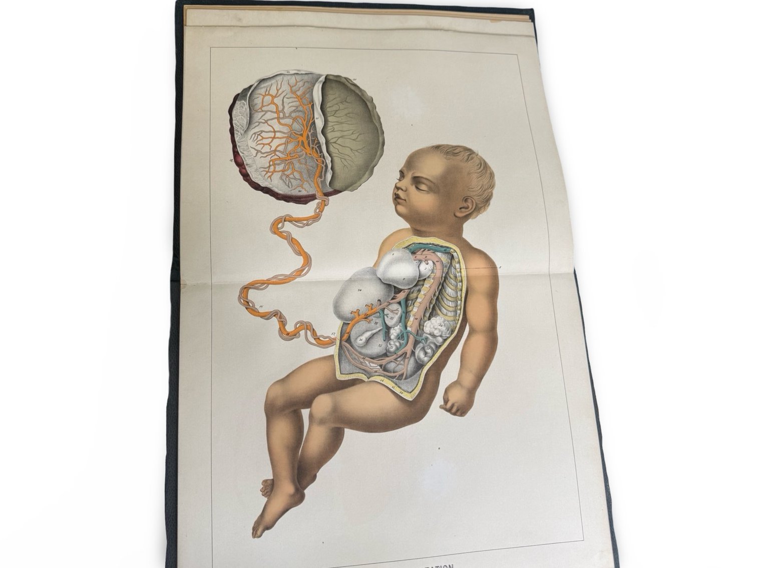 Image for The Art of Death: Funeral Antiques, Ephemera & Mortuary Relics