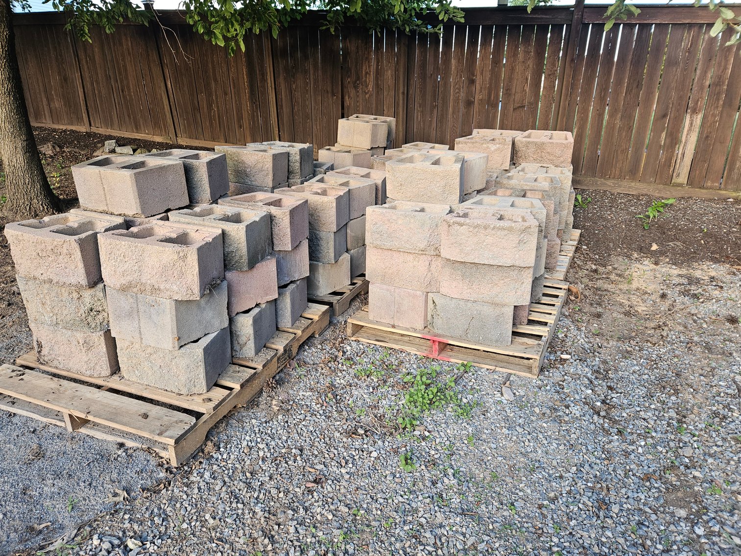 Image for Samantha Columbia