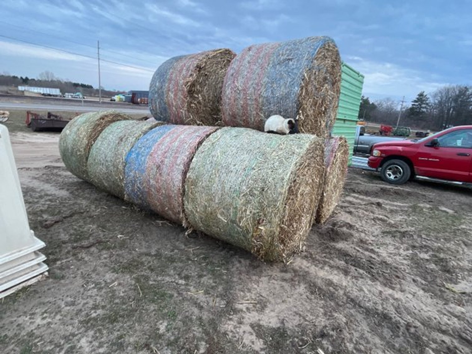 Image for SPRING AUCTION