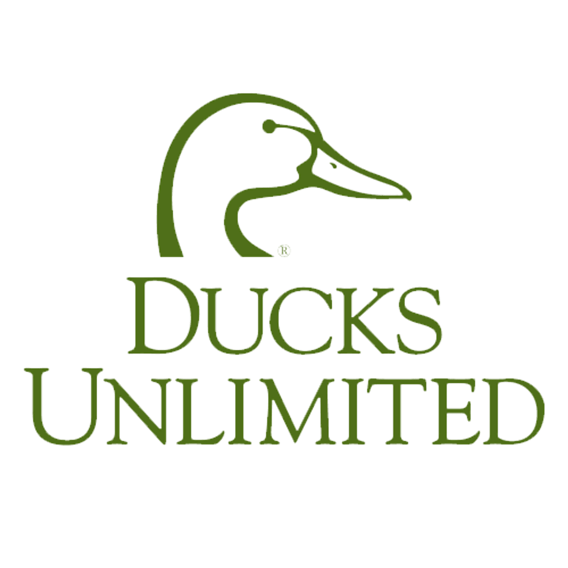 Image for Ducks Unlimited - Green Top