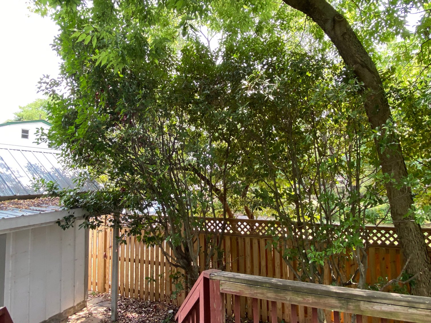 Image for 4 BR/3 BA Home & Adjacent .14 +/- Acre Vacant Lot in The Town of Leesburg, VA--SELLING to the HIGHEST BIDDER!!