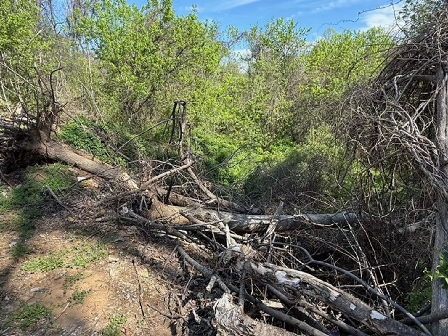 Image for 2.1 +/- Acre Wooded Corner Lot in Loudoun County, VA