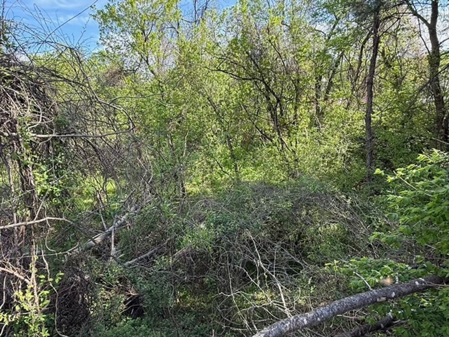 Image for 2.1 +/- Acre Wooded Corner Lot in Loudoun County, VA