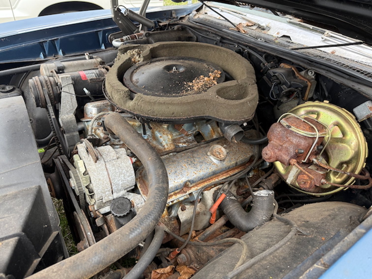 Image for Session 1 - Classic Cars, Classic Trucks, Vintage Metal Toys, Pedal Cars and Pedal Tractors, Antique Furniture