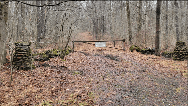 Image for TBD Cranesville Road Terra Alta WV