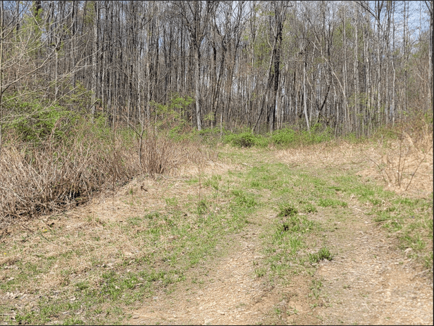 Image for TBD Determined Veterans Memorial Highway Kingwood, 5 Acre Lot!