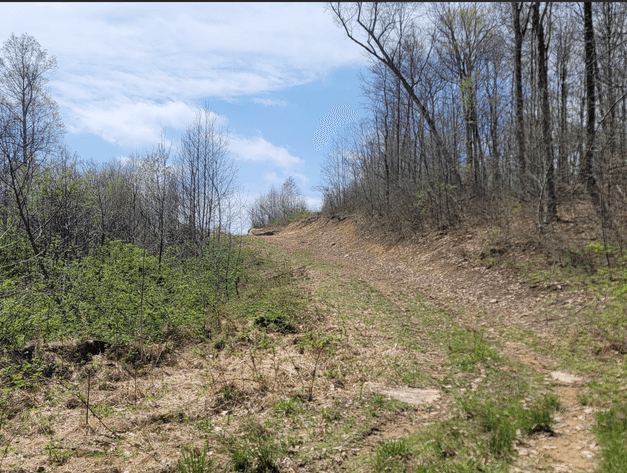 Image for TBD Determined Veterans Memorial Highway Kingwood, 5 Acre Lot!