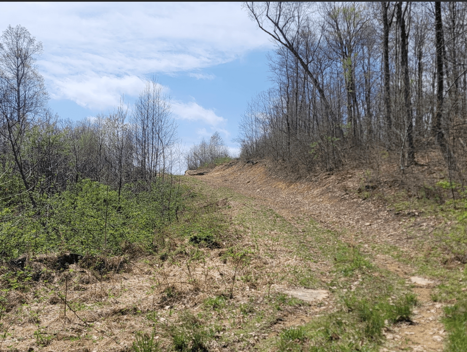 Image for TBD Determined Veterans Memorial Highway Kingwood, 5 Acre Lot!