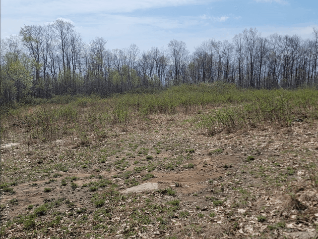 Image for TBD Determined Veterans Memorial Highway Kingwood, 5 Acre Lot!